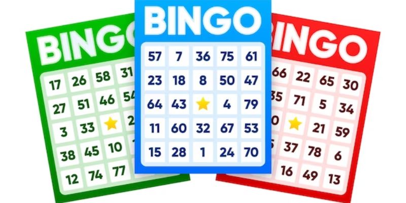 Bỏ túi cẩm nang chơi xổ số Bingo từ cao thủ